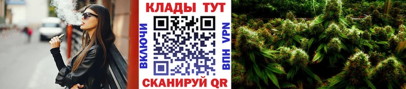Где продают наркотики Бердск АМФЕТАМИН  МЕФ  КОКАИН  OMG tor  ГАШ  Конопля  Альфа ПВП  MDMA 