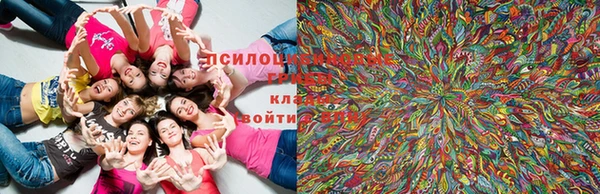 прущие крисы Верея
