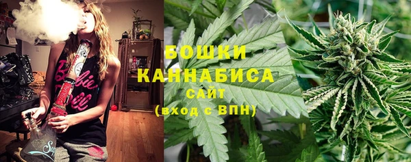 прущие крисы Верея