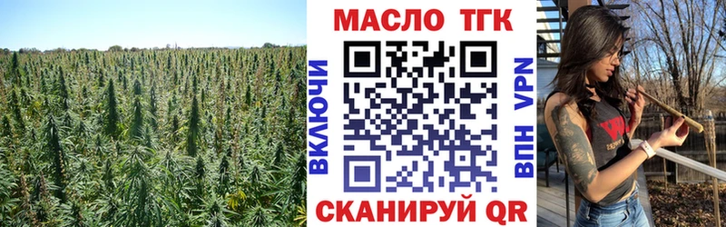 Дистиллят ТГК концентрат  где продают наркотики  гидра вход  Бердск 