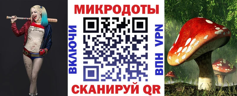 купить наркоту  Бердск  Галлюциногенные грибы Magic Shrooms 